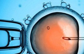 泰国做一次三代试管婴儿的费用要多少？成功率有多高？