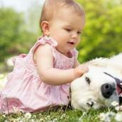 试管治疗期间用药所产生的费用能通过医保进行报销吗？